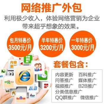 網(wǎng)絡(luò)推廣外包服務(wù)助力企業(yè)騰飛 從策略到服務(wù)器租賃的一站式解決方案